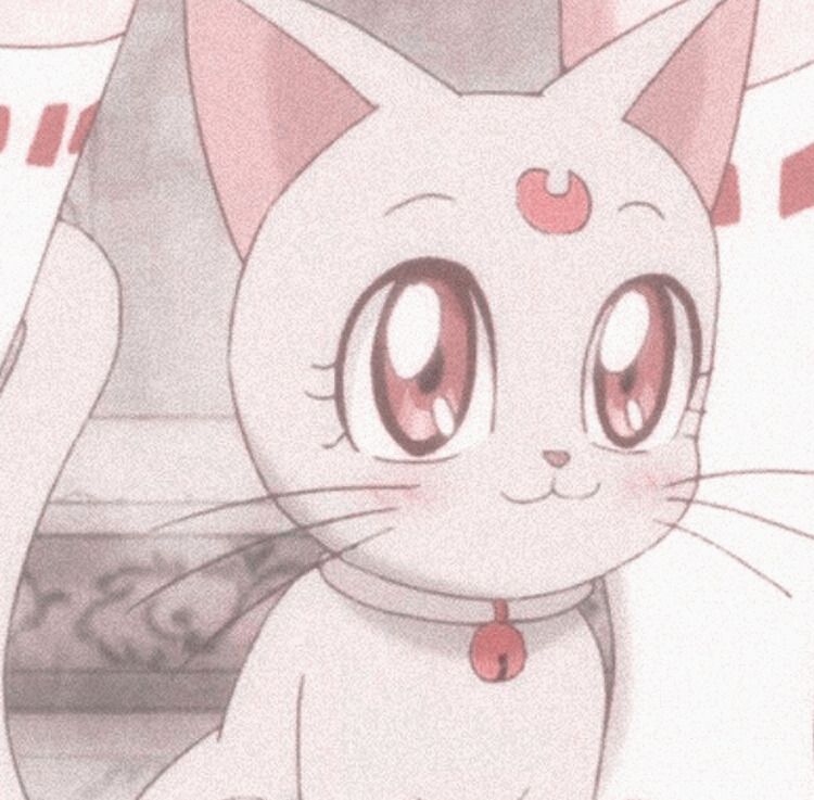 Featured image of post Aesthetic Cat Pfp Anime