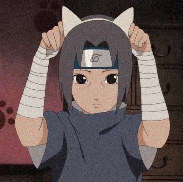 Featured image of post Cat Itachi Pfp