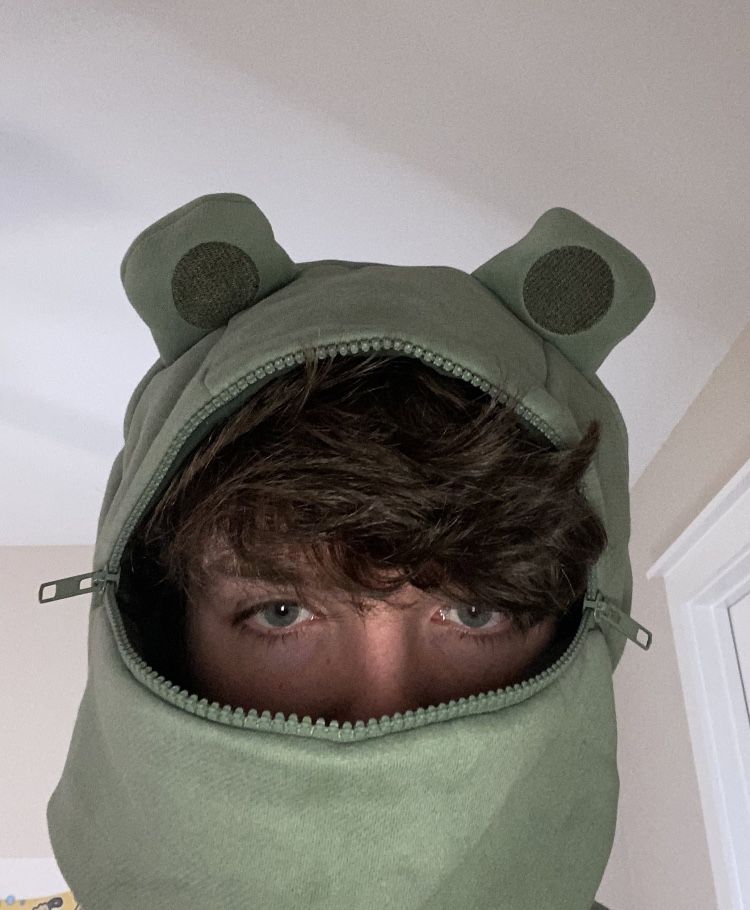 Featured image of post Karl In A Frog Hoodie